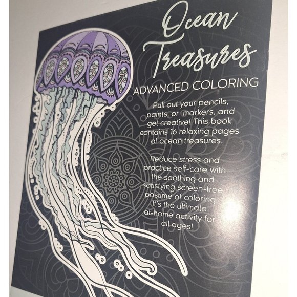 Landoll  Stress Relieving Advanced Adult Coloring Relax to Music Zbook - Picture 9 of 11